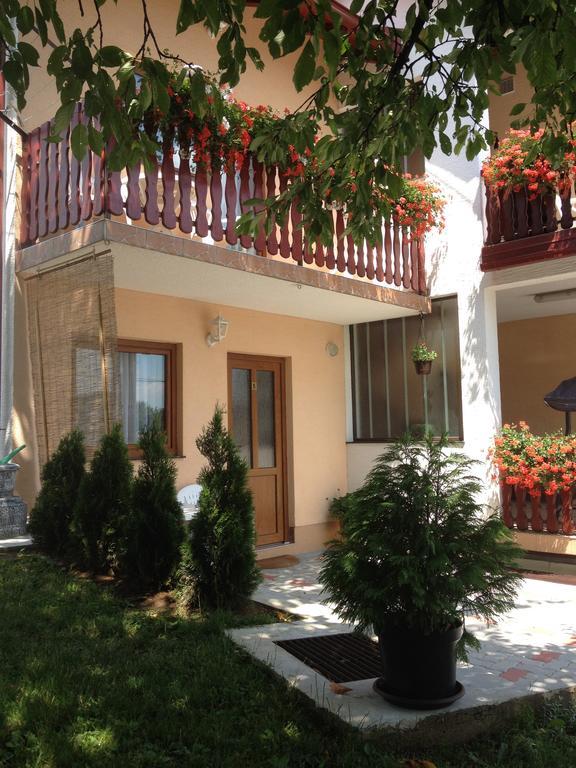 Guesthouse Ante Hodak Seliste Dreznicko Exterior photo