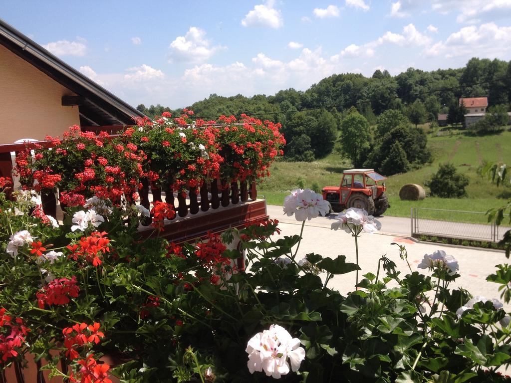 Guesthouse Ante Hodak Seliste Dreznicko Room photo