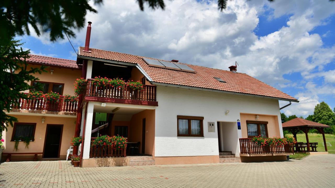 Guesthouse Ante Hodak Seliste Dreznicko Exterior photo