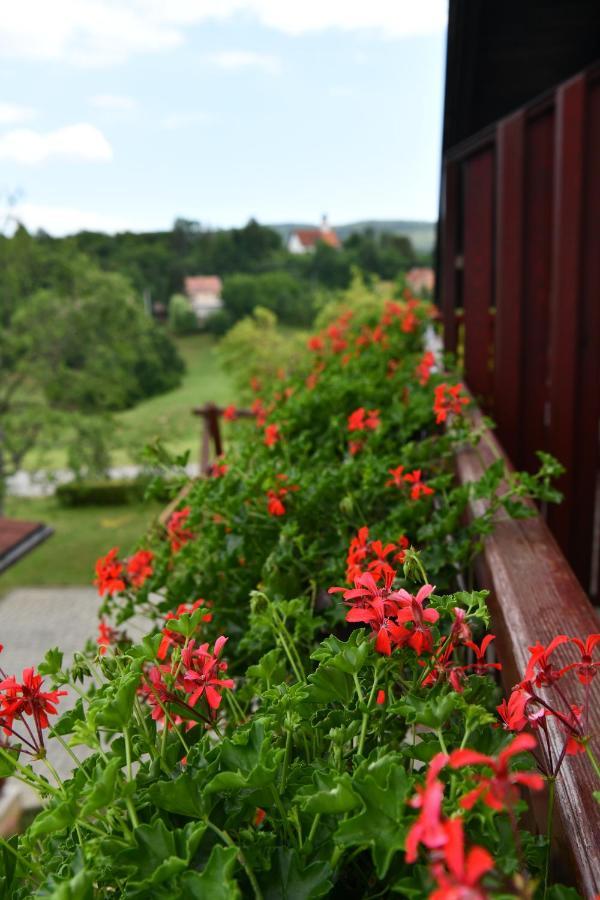 Guesthouse Ante Hodak Seliste Dreznicko Exterior photo