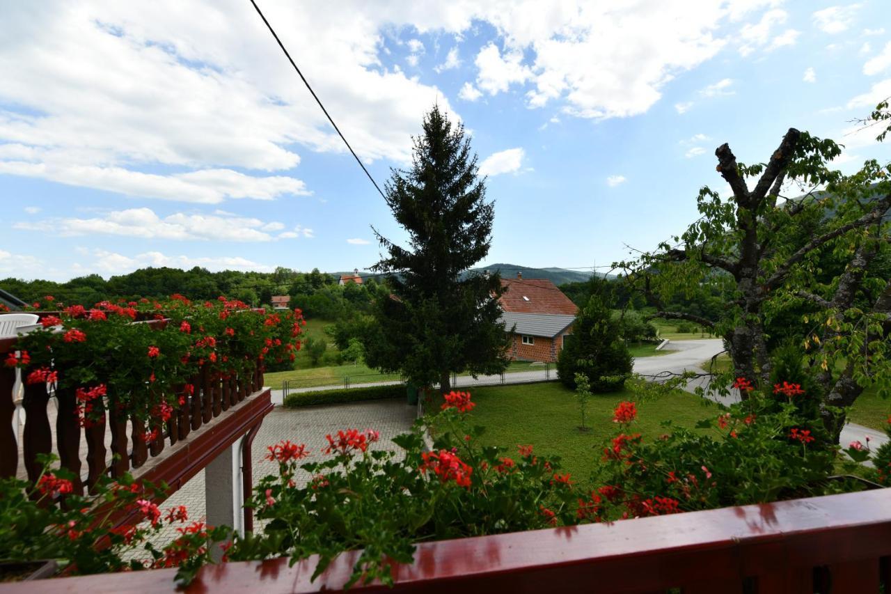 Guesthouse Ante Hodak Seliste Dreznicko Exterior photo