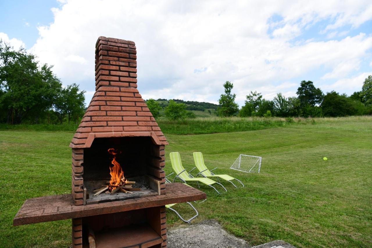 Guesthouse Ante Hodak Seliste Dreznicko Exterior photo