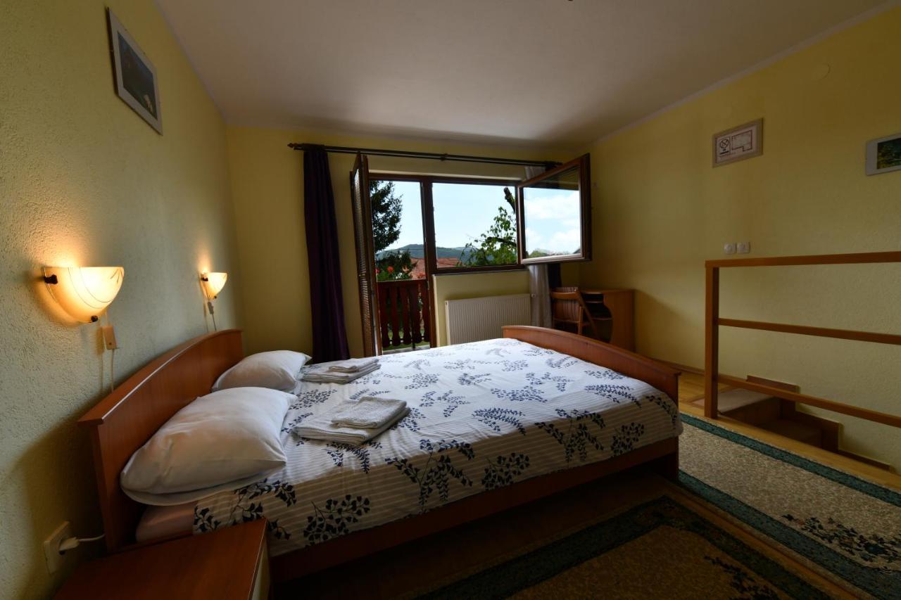 Guesthouse Ante Hodak Seliste Dreznicko Exterior photo